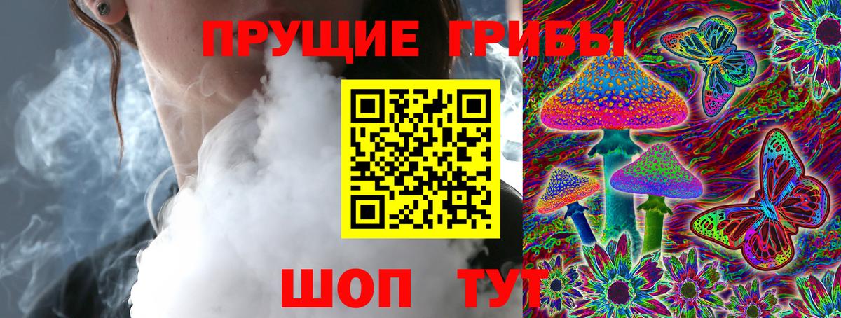 Псилоцибиновые грибы Psilocybine cubensis  Вход с VPN  Великий Новгород 